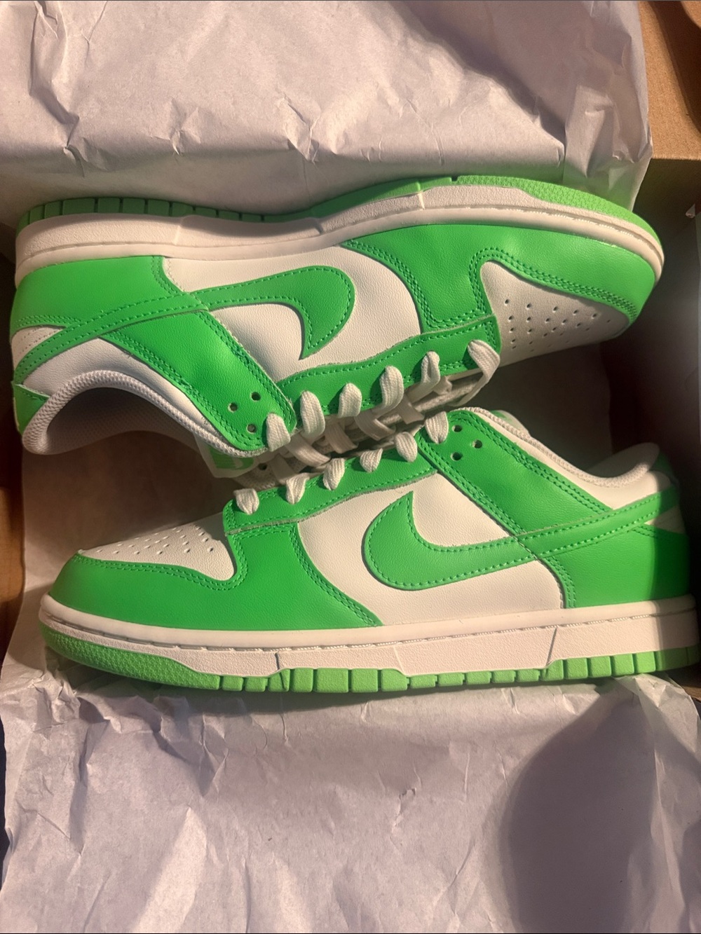 Nike Women’s Dunk Low